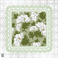 Southern Daisy PREORDER