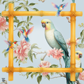 Pretty Polly PREORDER
