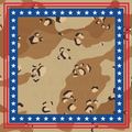 America USMC Camo PREORDER