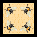Honey PREORDER