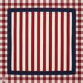 Americana Gingham IN STOCK