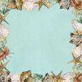 Seashells by the Seashore PREORDER