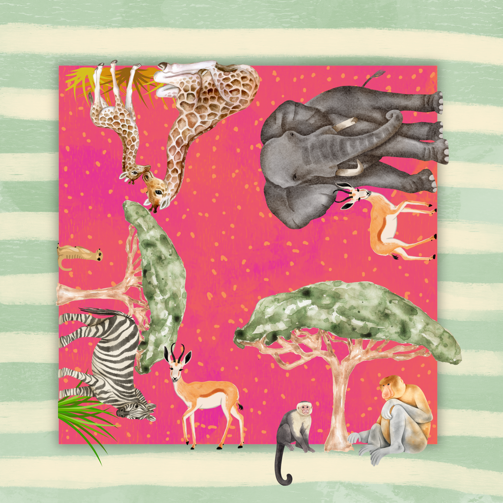 Out of Africa Vibes COMING JANUARY 2026