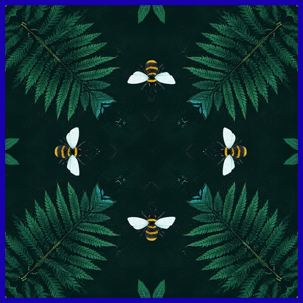 Backyard at Night PRESALE