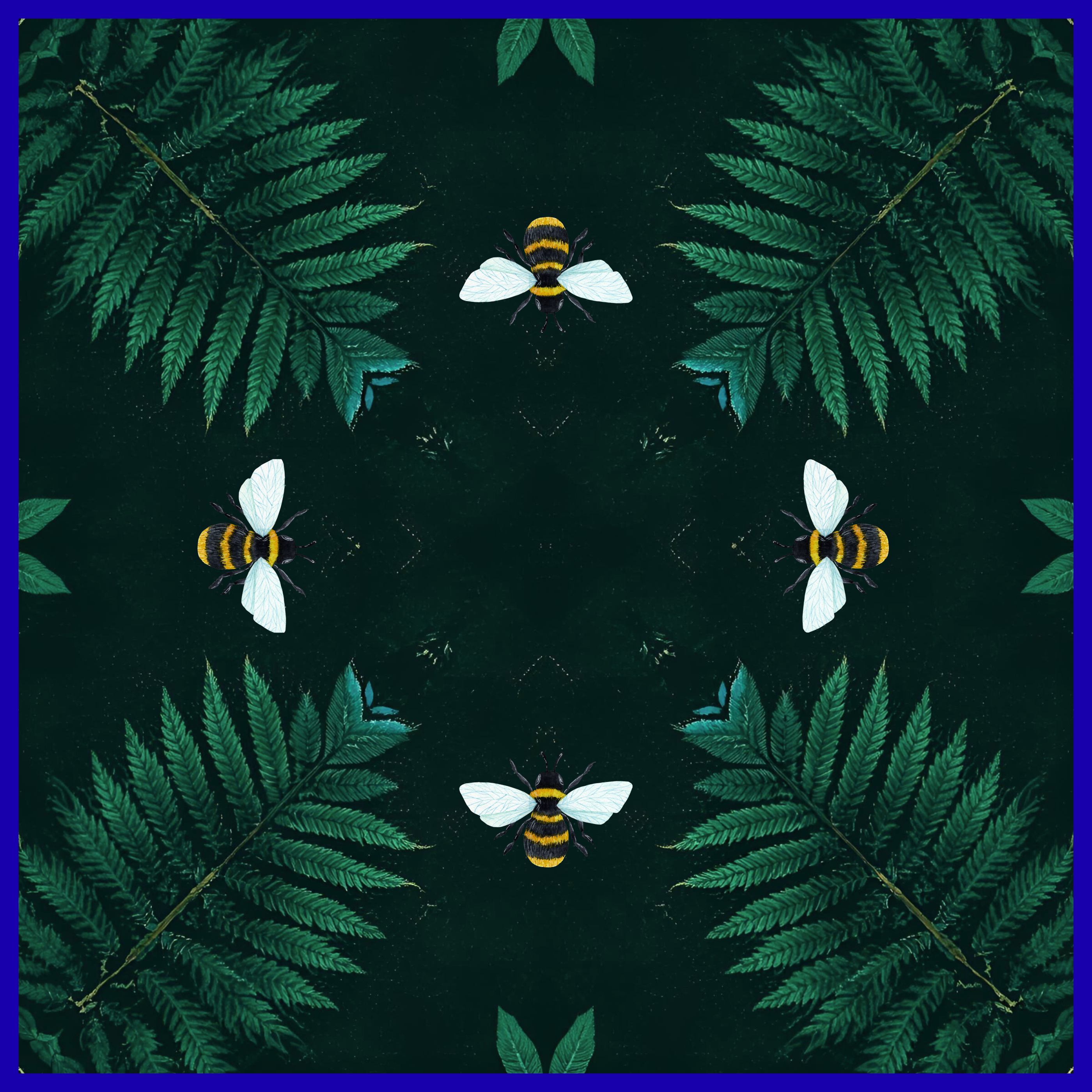 Backyard at Night PRESALE